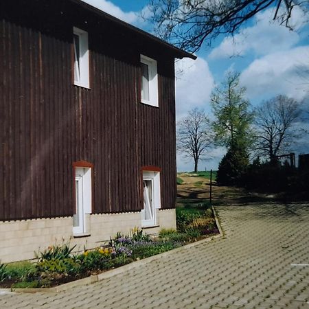 Falkenstein Reinhardtsdorf-Schona 外观 照片